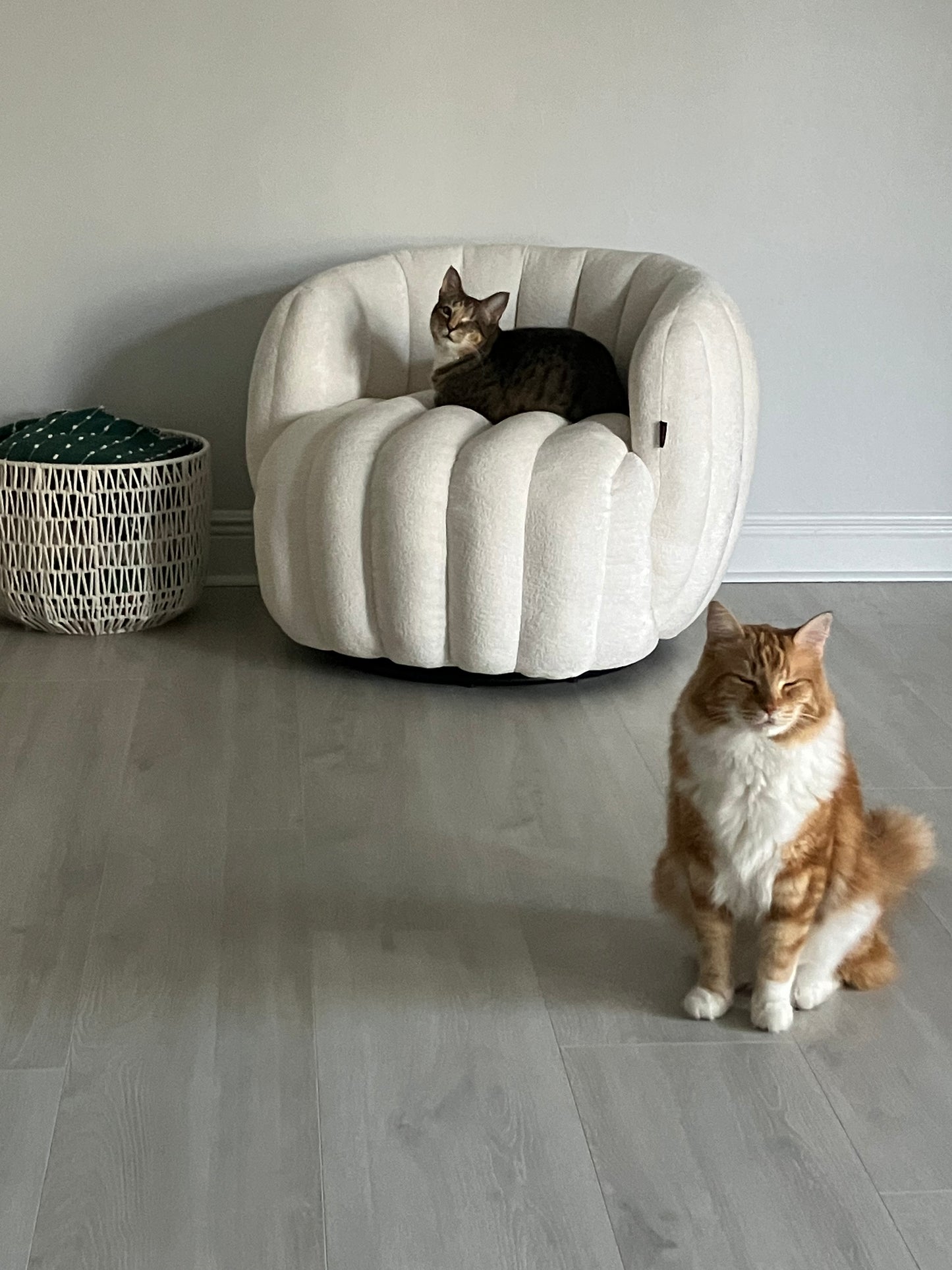 Friends Furever Mail Club — Monthly Subscription