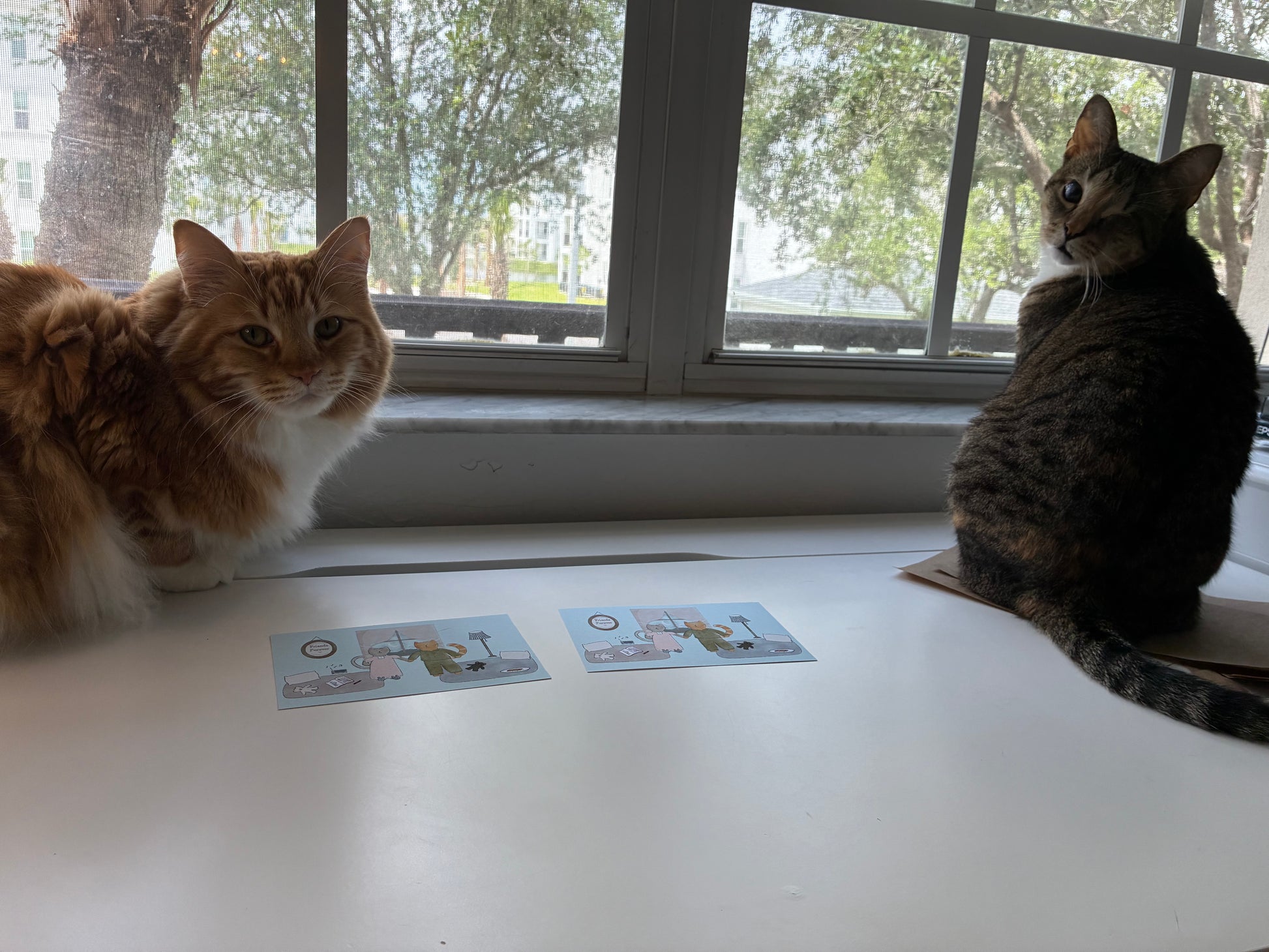 Cats Muffin and Maple sitting on a desk next to Friends Furever Mail Club art print postcards