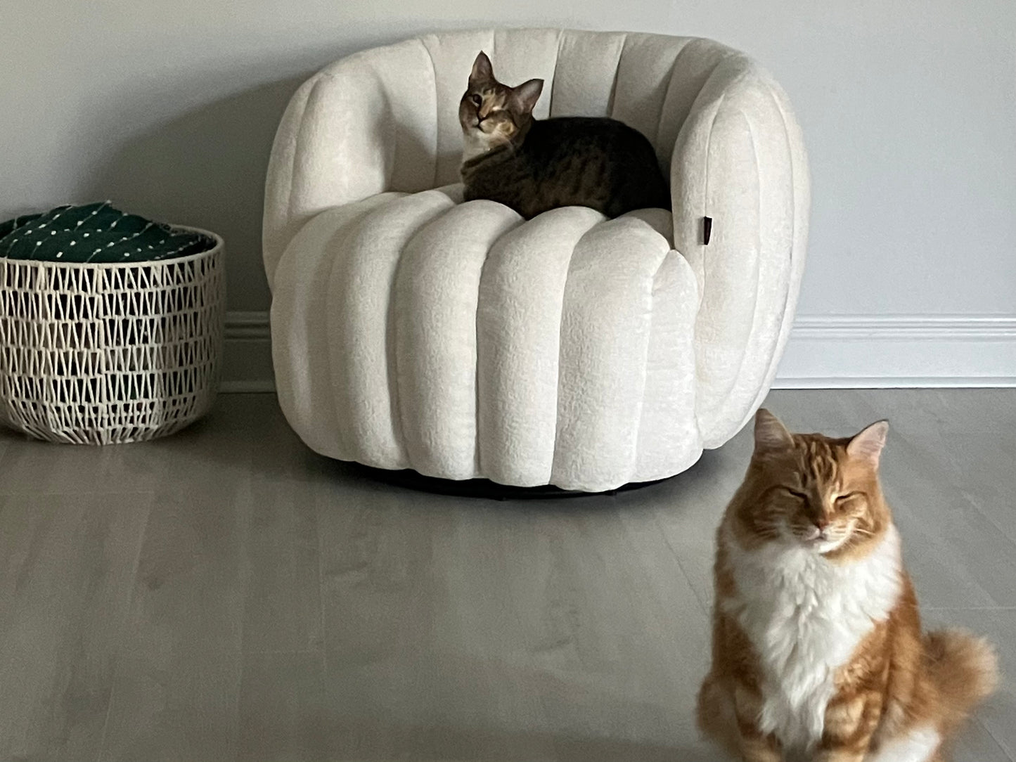 Share the Joy — Friends Furever Mail Club Duo